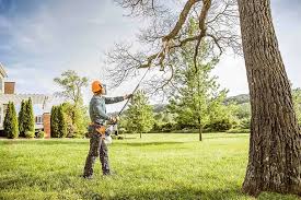  Kittanning, PA Tree Removal Pros